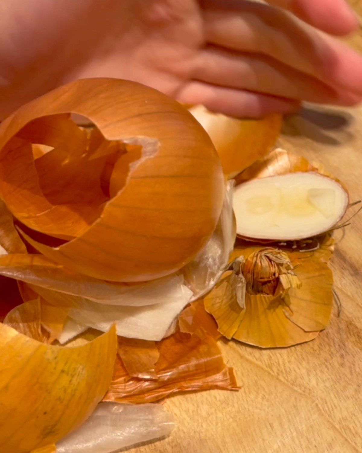 Cabbage Rolls Doobydobap