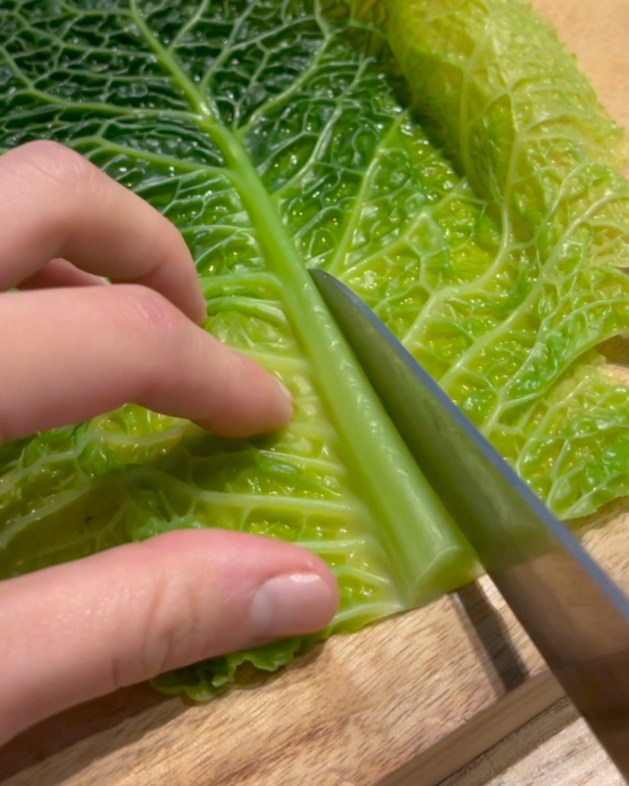 Cabbage Rolls Doobydobap