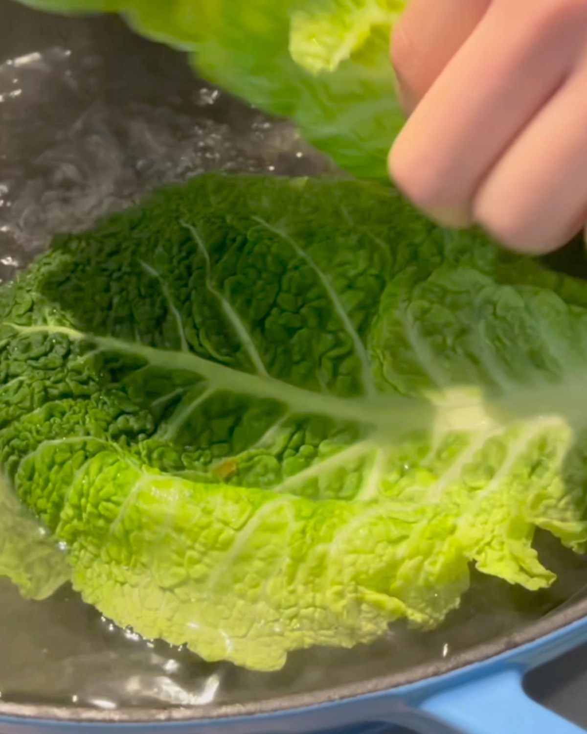 Cabbage Rolls Doobydobap