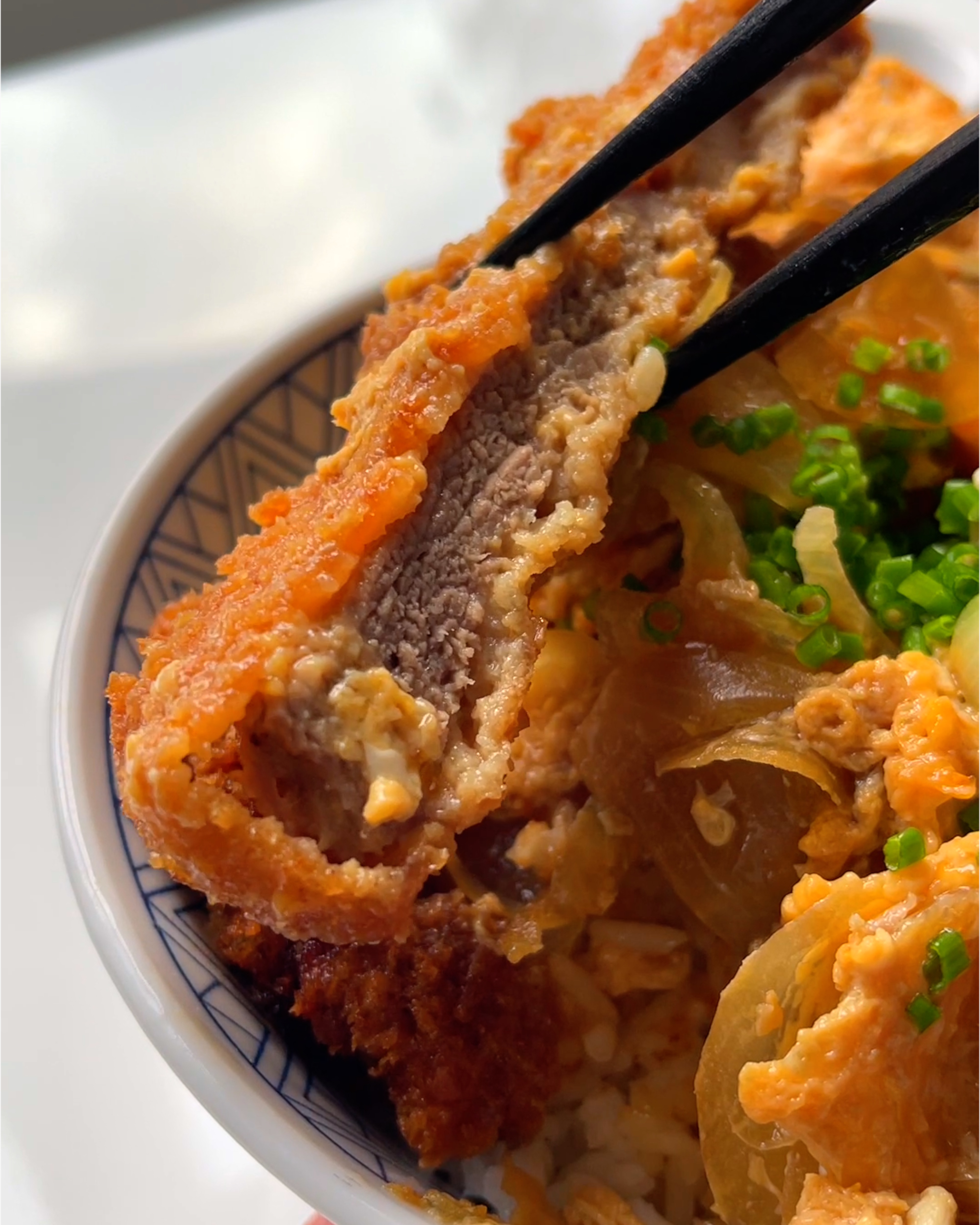 Katsudon Doobydobap