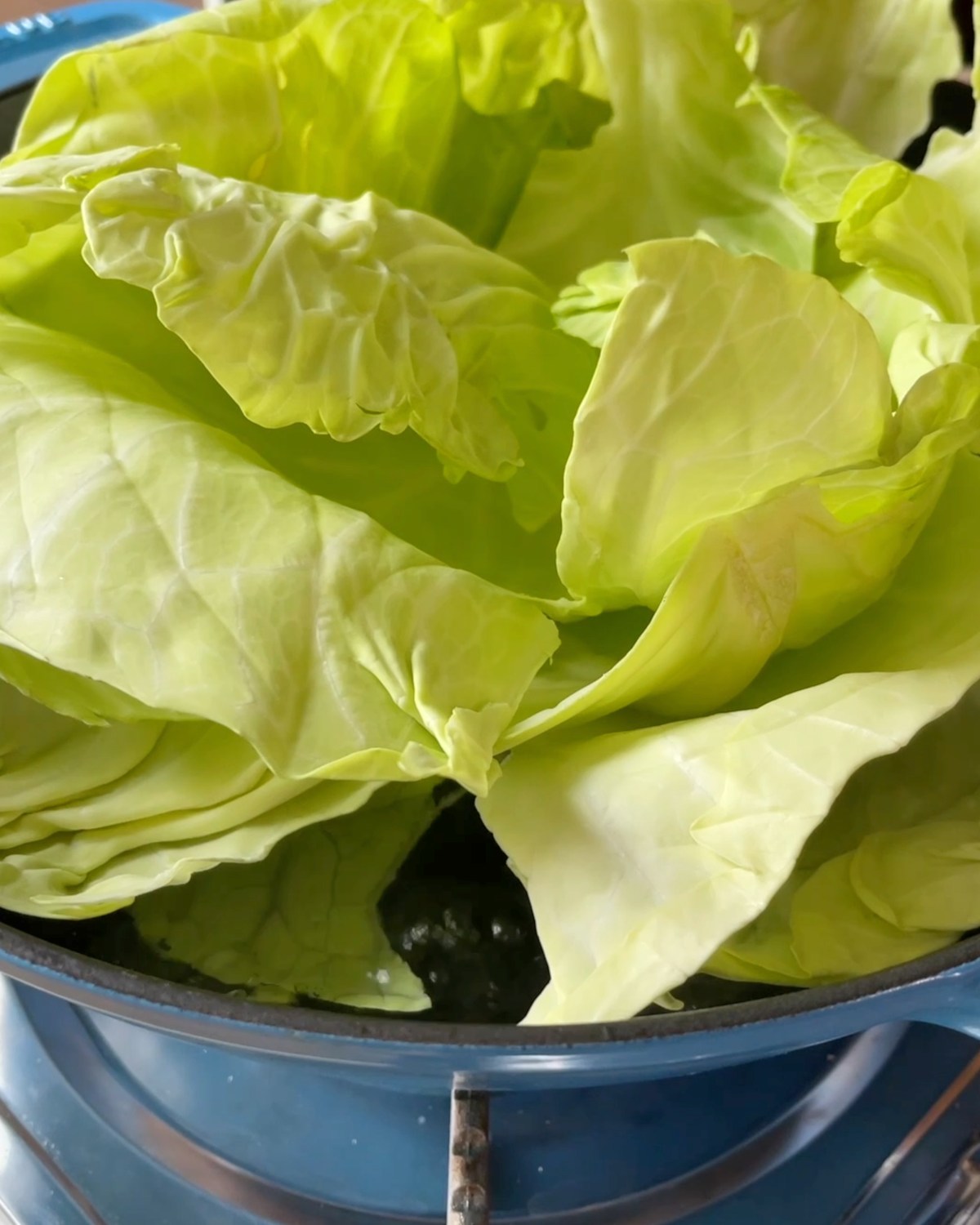 Vegan Tomato Cabbage Rolls Doobydobap