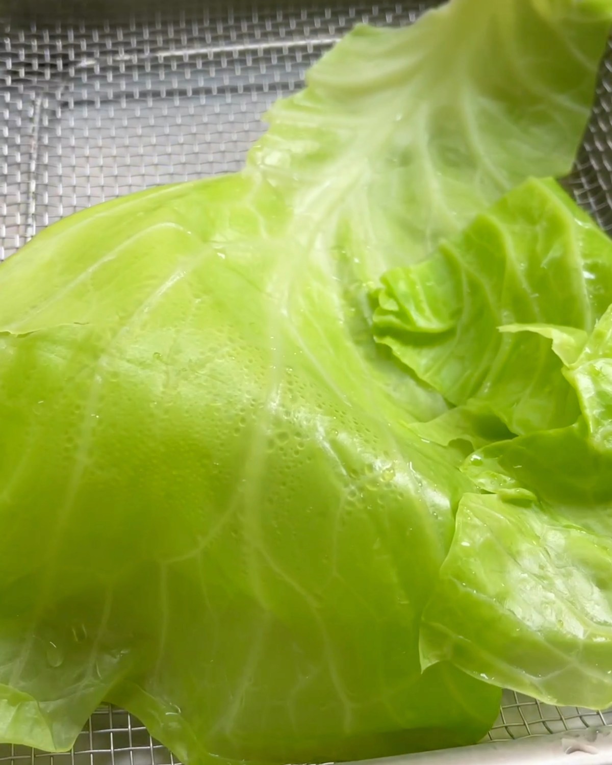 Vegan Tomato Cabbage Rolls Doobydobap