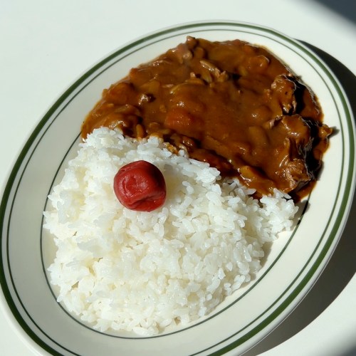 Japanese Tomato Beef Curry